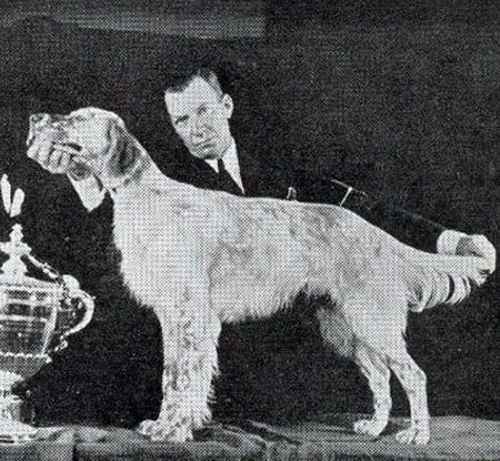 The More Things Change